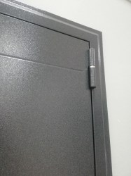 Входная дверь Нова